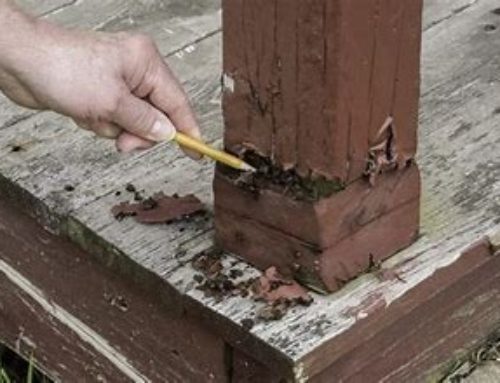 Dry Rot and Wet Rot…Do’s and Don’ts